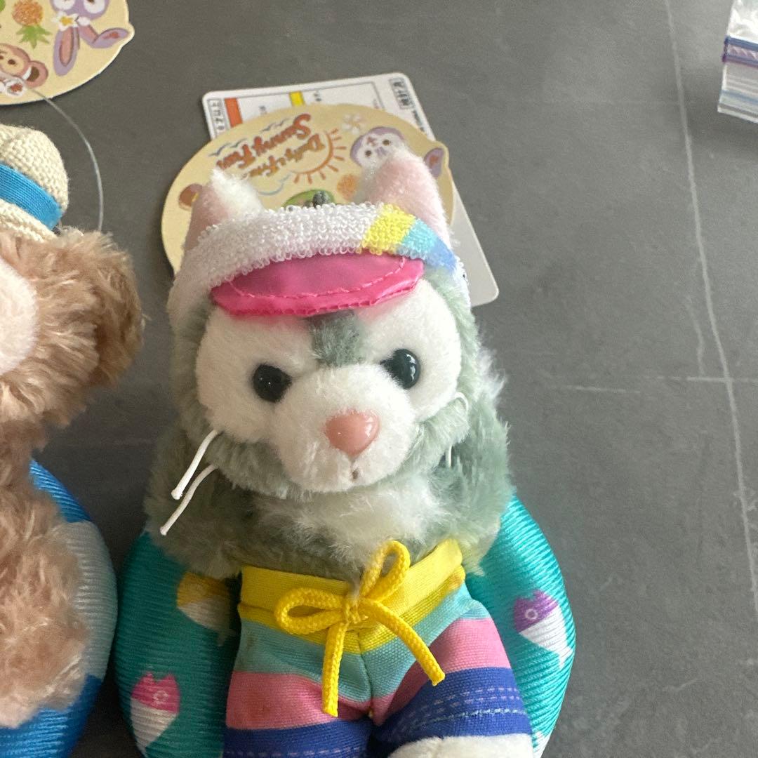 新品タグ付 東京ディズニーシー Summer fun キーチェーンセット 浮き輪