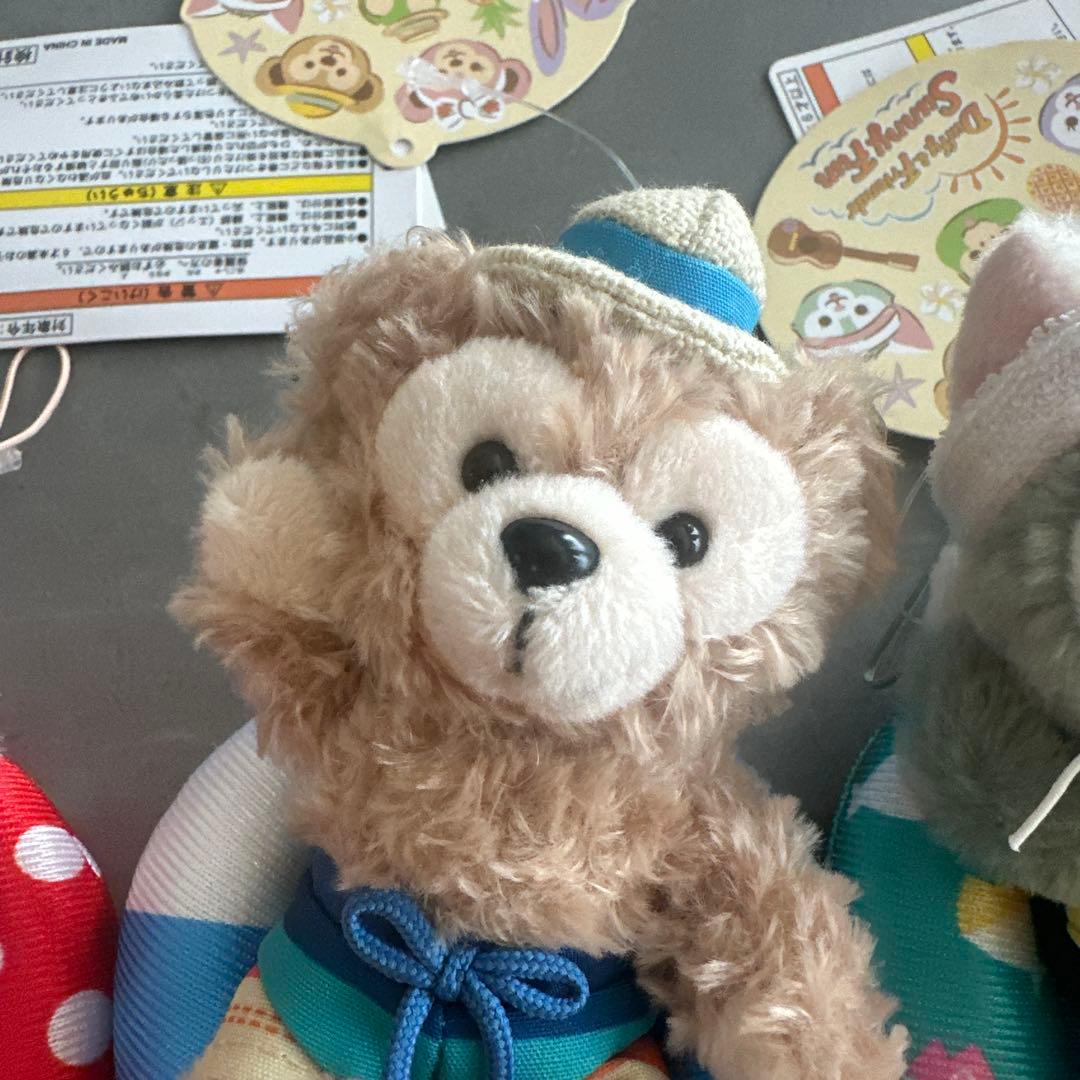 新品タグ付 東京ディズニーシー Summer fun キーチェーンセット 浮き輪