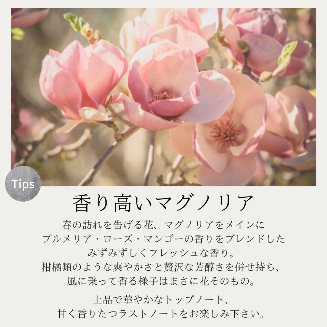 6本セット 1本3000円   L/（エルスラッシュ）トリートメント　480g■