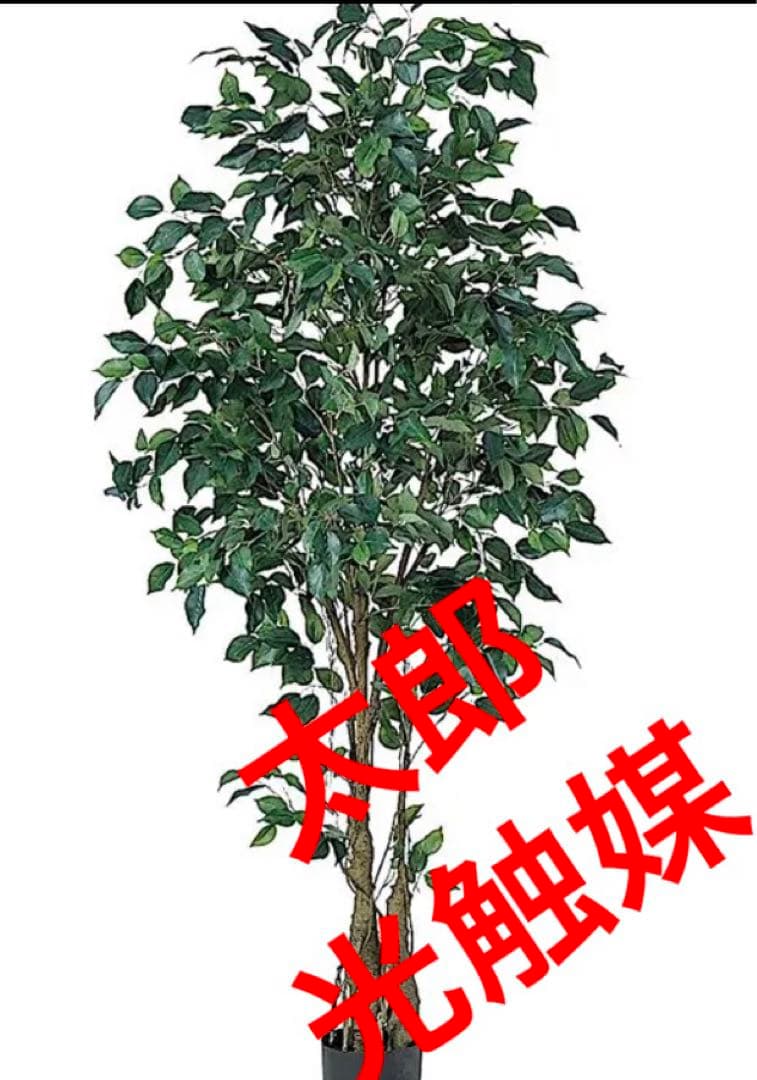 光触媒　人工観葉植物　ウォールグリーン　フェイクグリーン　フィカスツリー190