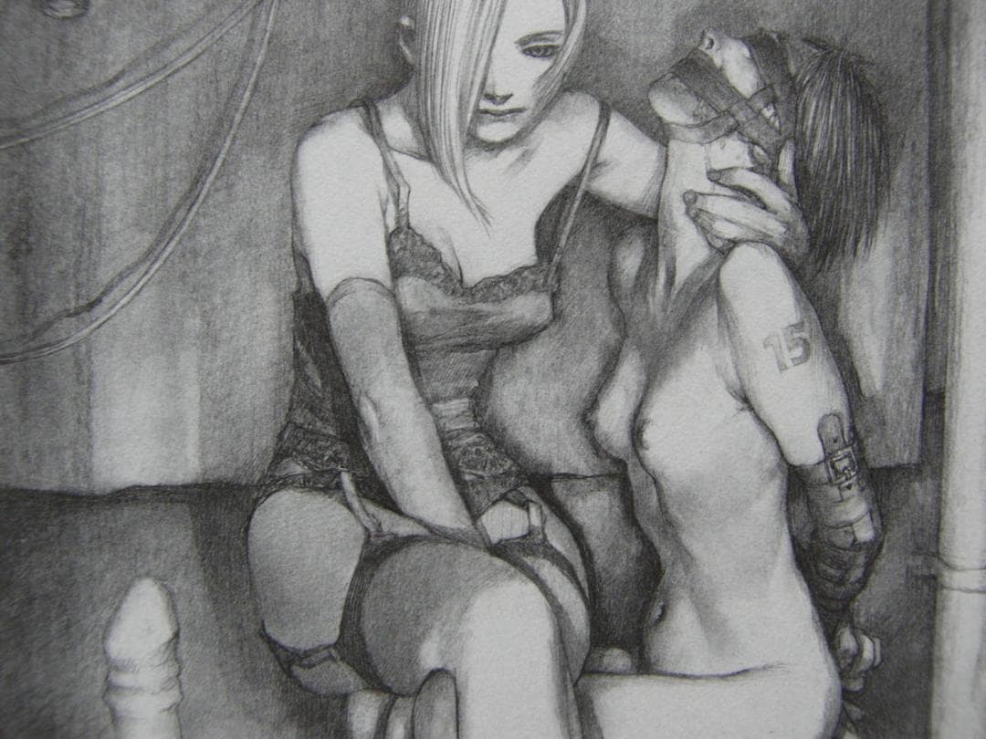 沙村 広明　3、希少画集・額装画、美女、官能イラスト作品、状態良好、新品額付き