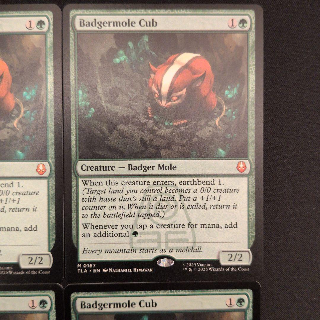 アナマモグラの仔 TLA 英語 4枚