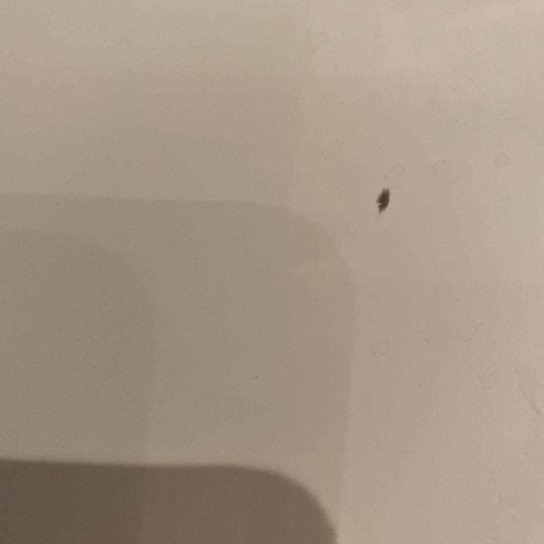 モーダエンカーサ　moda en casa 収納家具