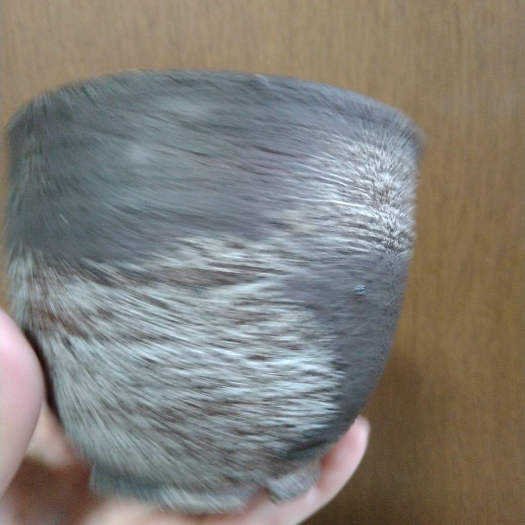 ●芽の巣山購入 安西桂 鉢3100