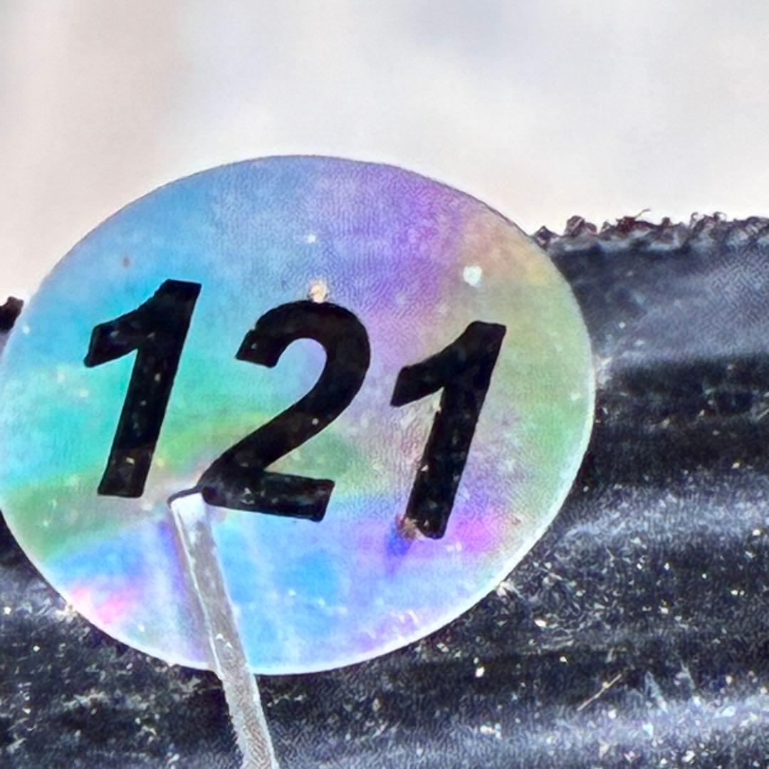 ヒ*ロ様 ❤️プクプク新芽❤️121⭐️極上⭐️【ソレイユ】クリスマスローズ