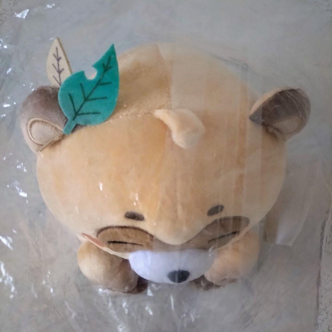 ホロライブ ホロックス 風真いろは 活動1周年 ぽこべぇ ぽこべえ ぬいぐるみ