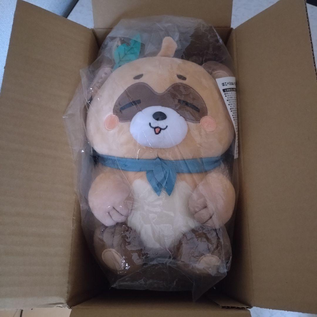 ホロライブ ホロックス 風真いろは 活動1周年 ぽこべぇ ぽこべえ ぬいぐるみ