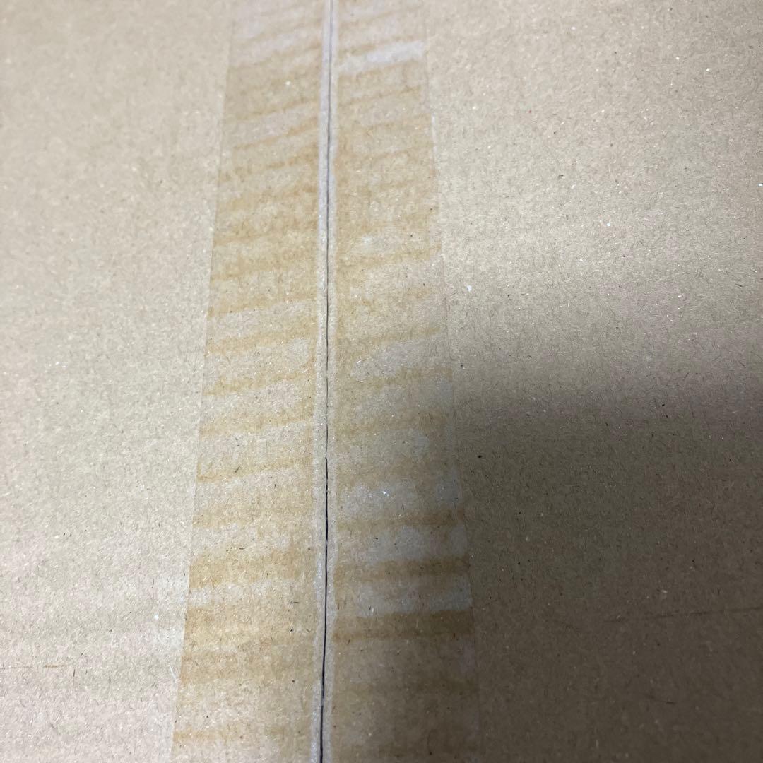 Disney 100 ヴァイスシュバルツ