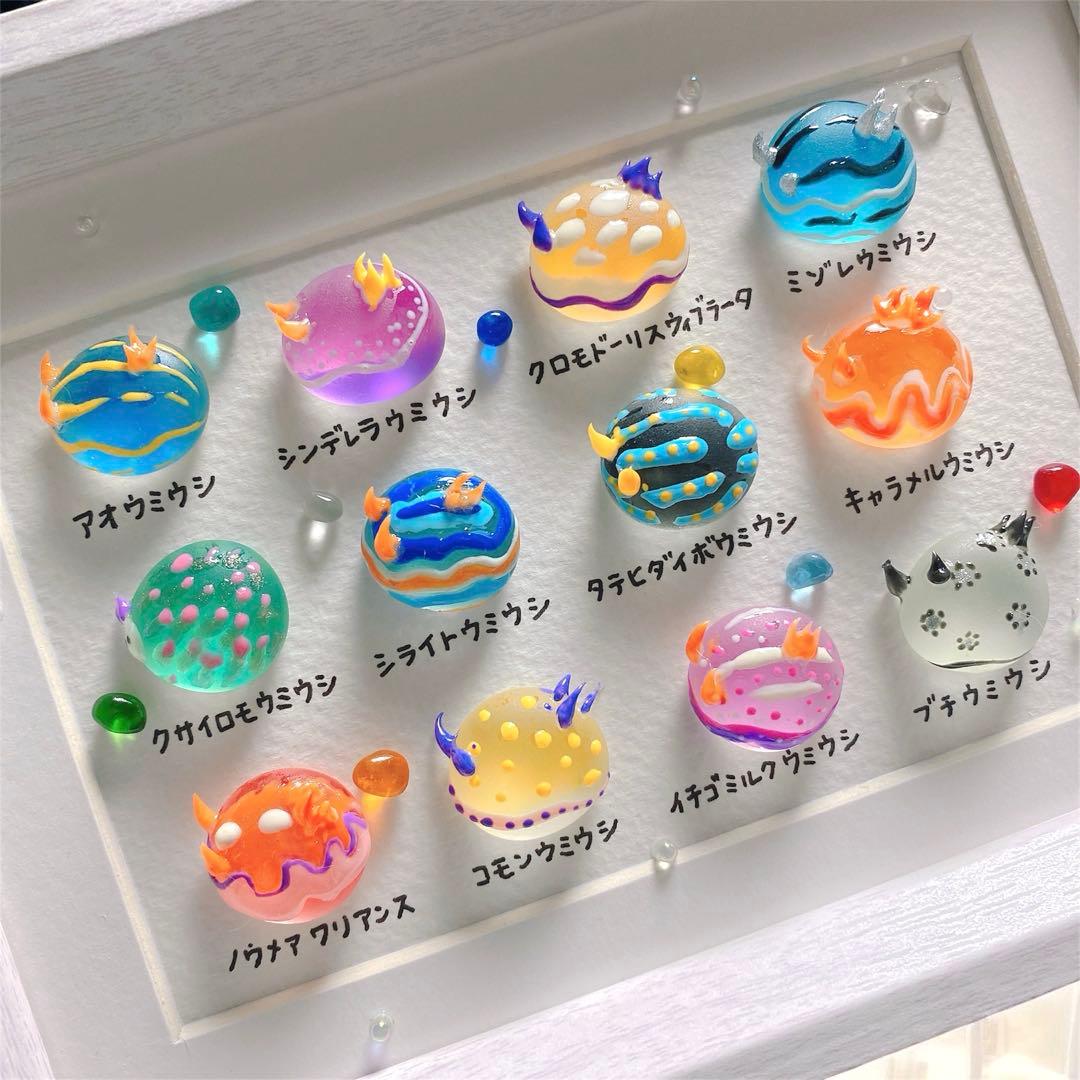 まんまるウミウシ図鑑❣️4000円　ガラス　シーグラスアート　海の生き物図鑑