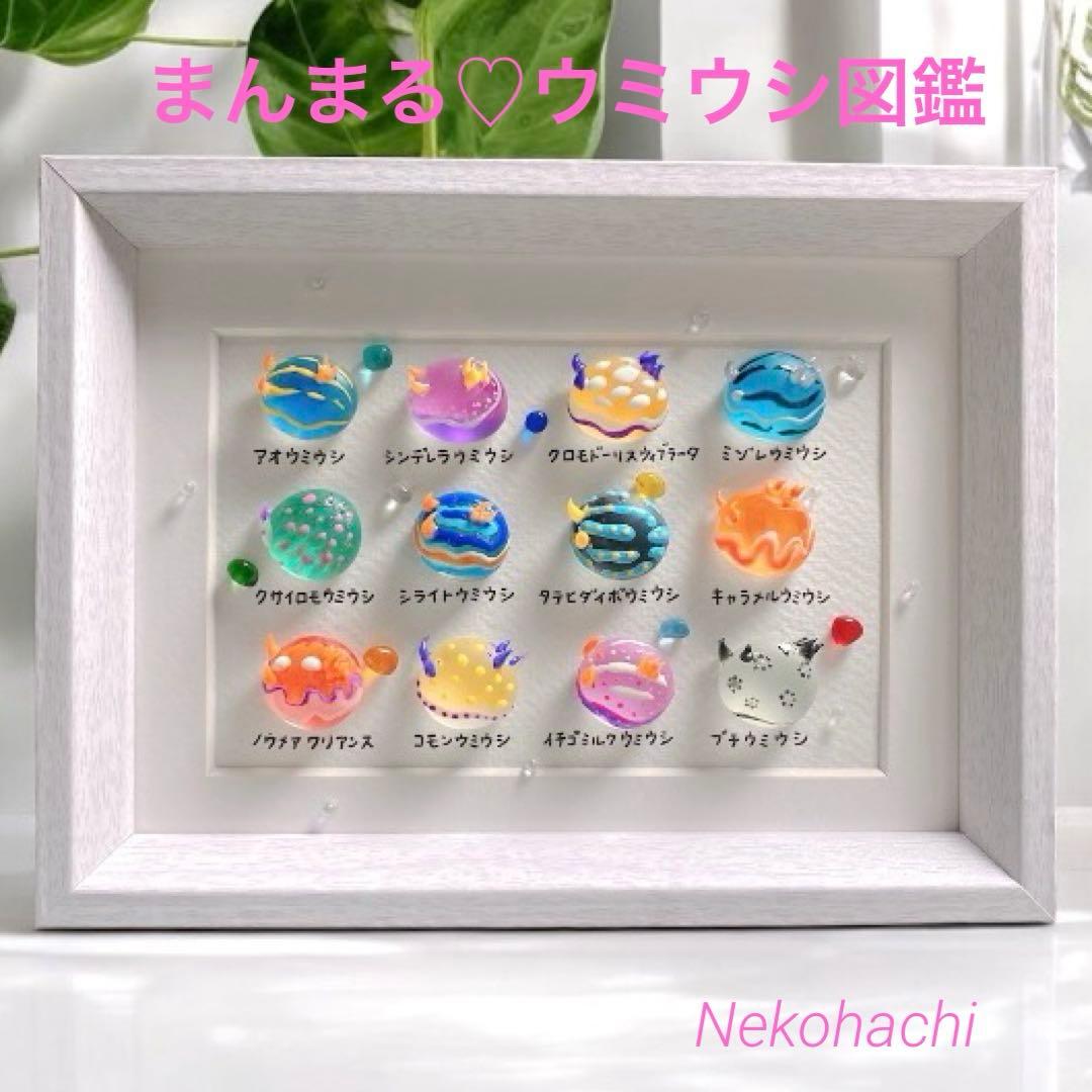 まんまるウミウシ図鑑❣️4000円　ガラス　シーグラスアート　海の生き物図鑑