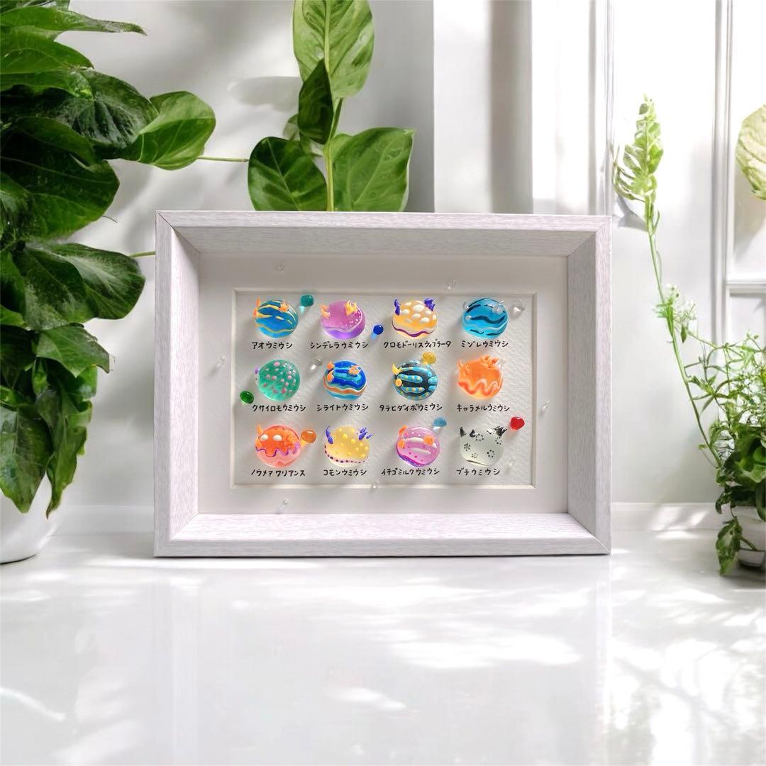 まんまるウミウシ図鑑❣️4000円　ガラス　シーグラスアート　海の生き物図鑑