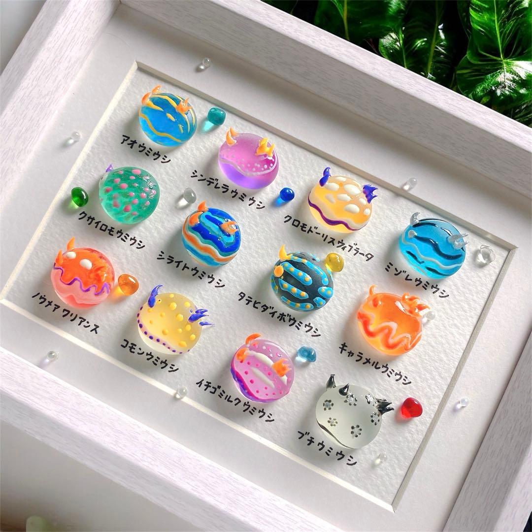 まんまるウミウシ図鑑❣️4000円　ガラス　シーグラスアート　海の生き物図鑑