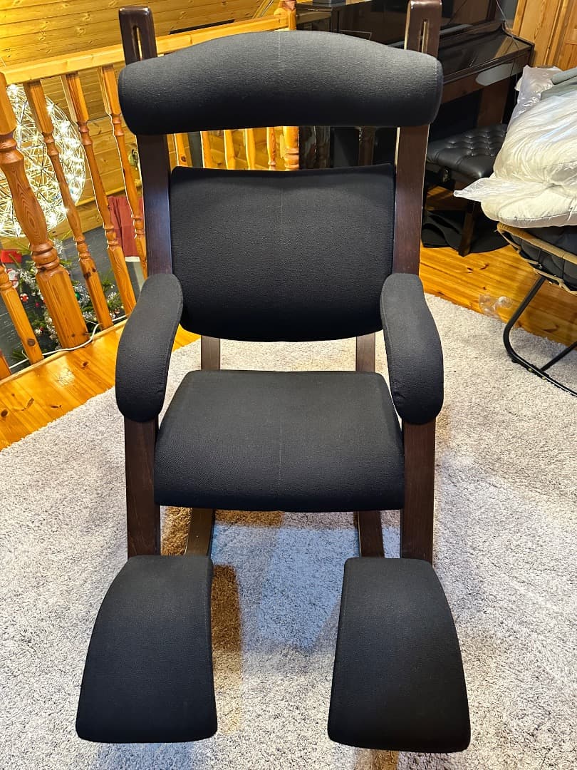 Varier Gravity ヴァリエール グラビティ バランス チェア