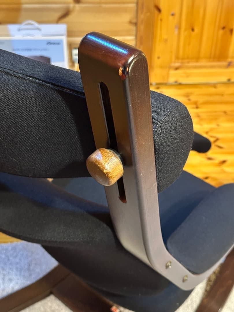 Varier Gravity ヴァリエール グラビティ バランス チェア