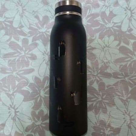 スターバックス ハロウィン2022 新品未使用 ステンレスボトル キャット