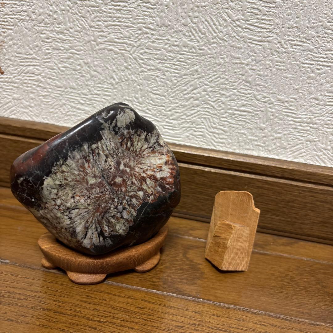 菊花石 岐阜根尾産