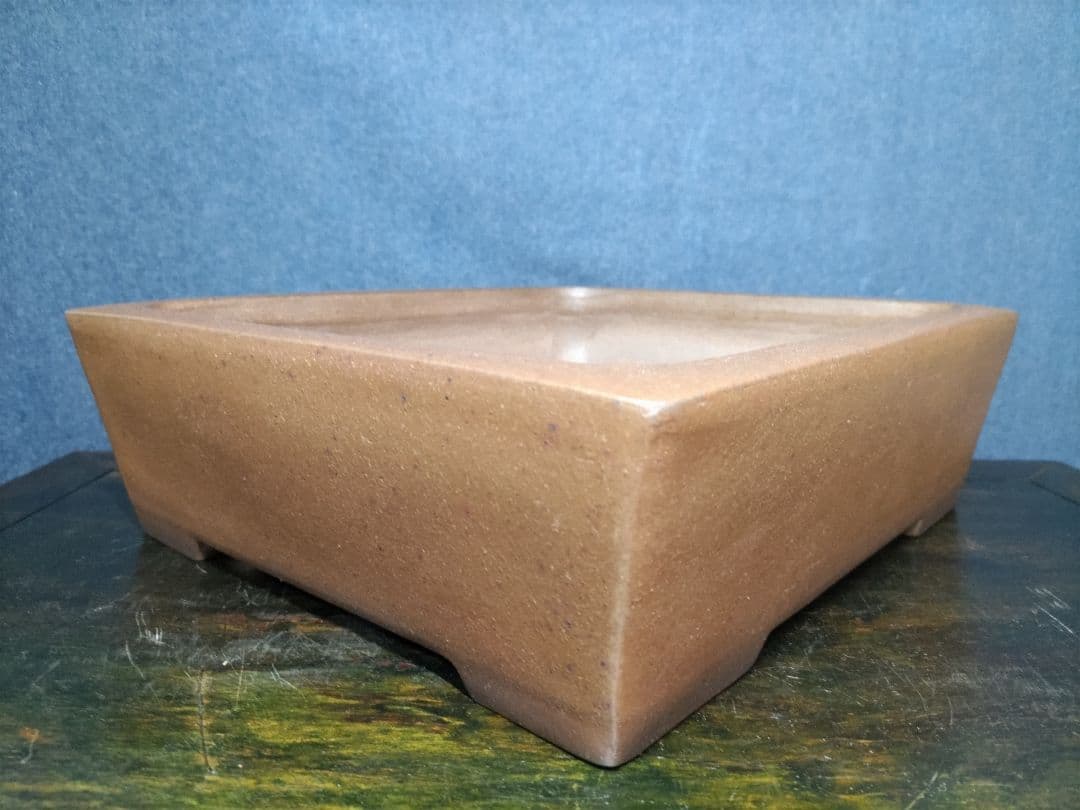 盆栽鉢 中野行山手造り 早い者勝ち - メルカリ