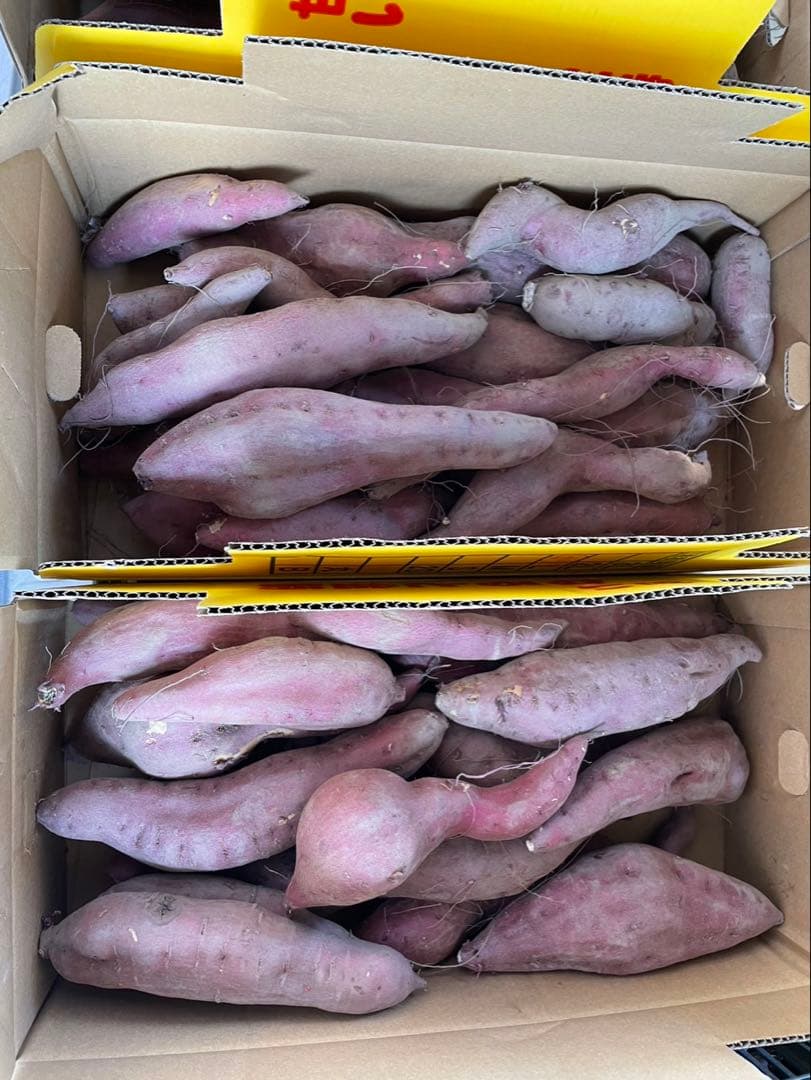 筋子塩2k 特たらこ2k マイマイ様専用