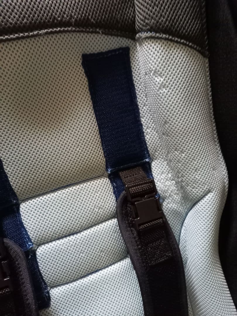 ピグレオティルト３　介助用バギー 黒と水色