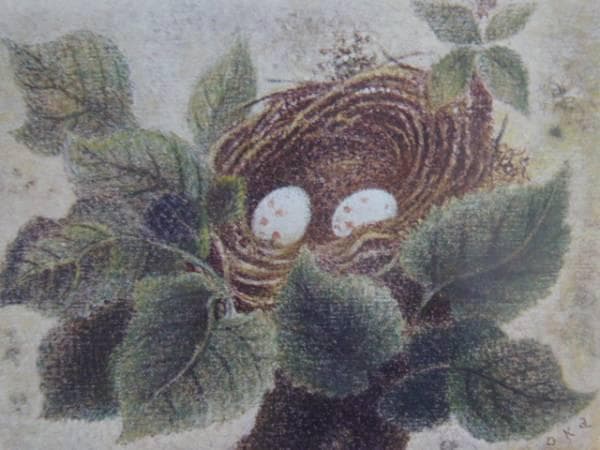 岡鹿之助、【巣】、希少な額装用画集より、美品、日本人画家、新品額装付