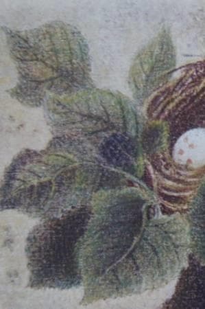 岡鹿之助、【巣】、希少な額装用画集より、美品、日本人画家、新品額装付