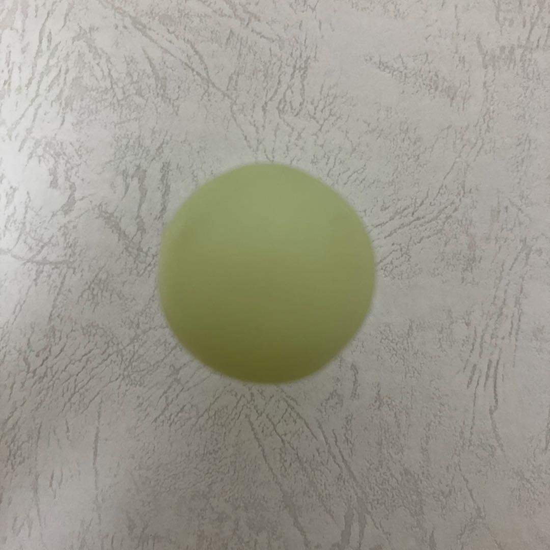 スミスキー　シリーズ１　シークレット ムンクのサケビスキー