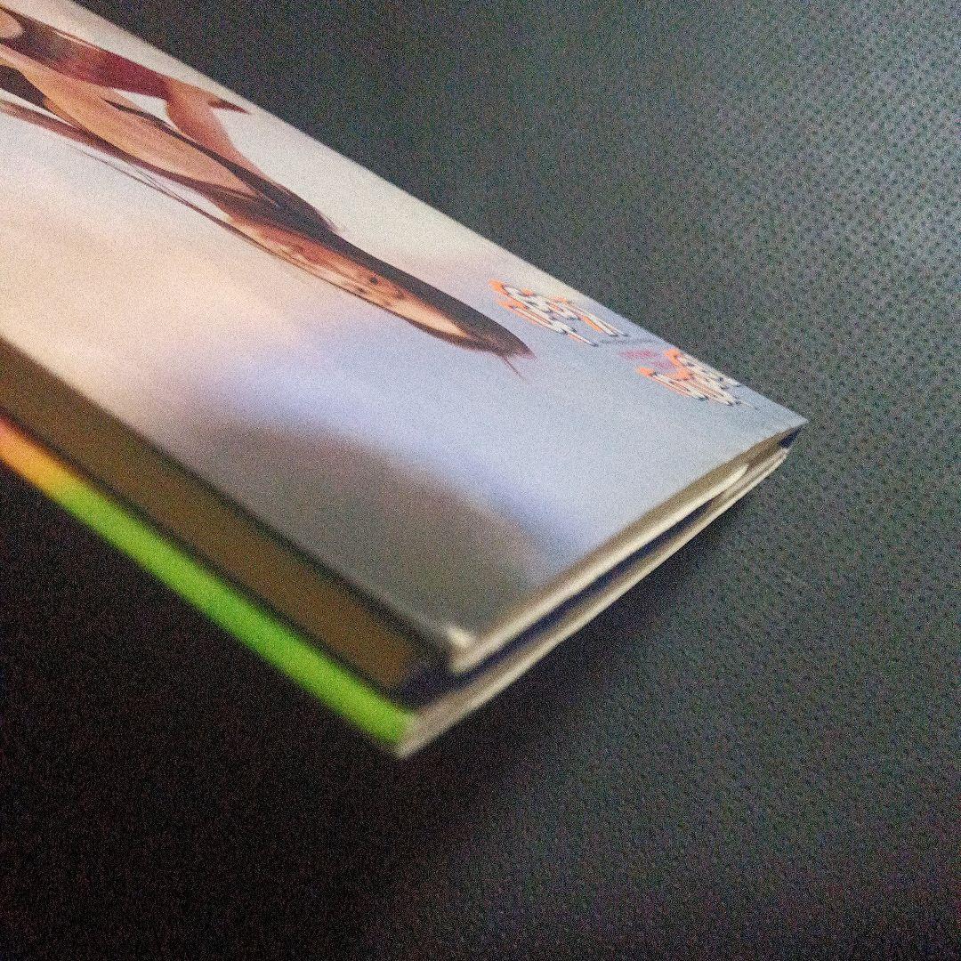 激レア✨浜崎あゆみファースト写真集 TerimaKasin 1st写真集 - メルカリ