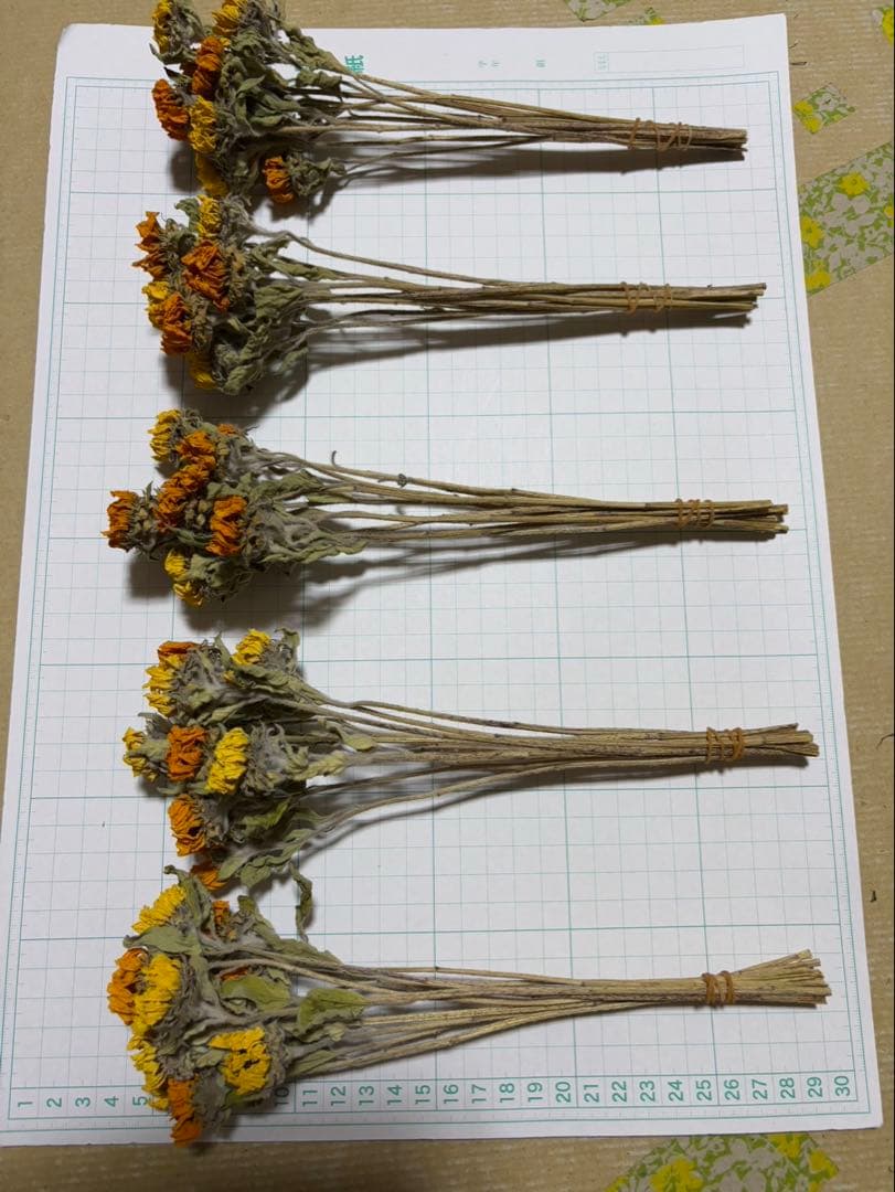 ドライフラワー 小さなひまわり