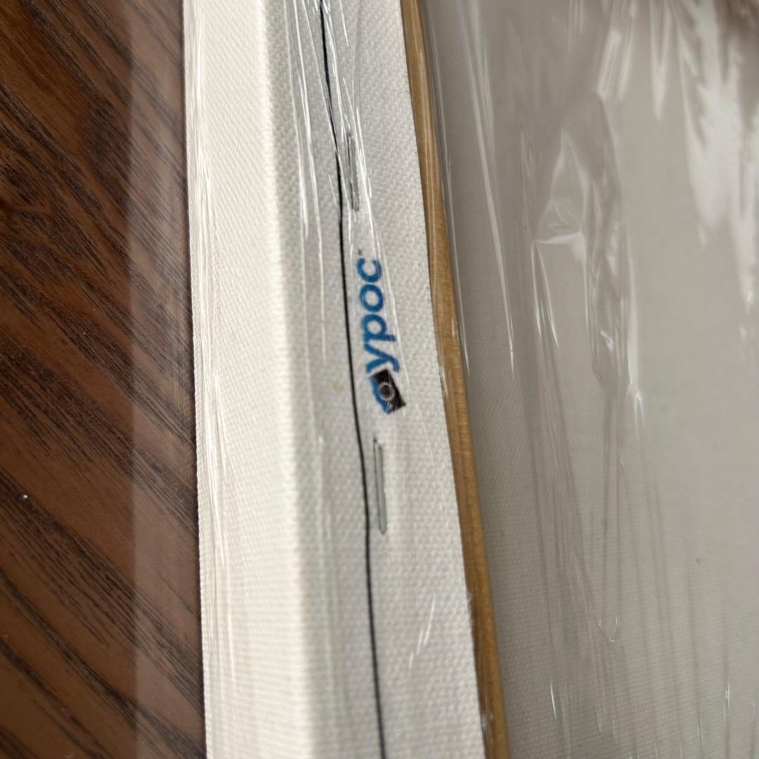 お値引きいたします‼️Aloha! Hawaii SNOOPYキャンバスアート