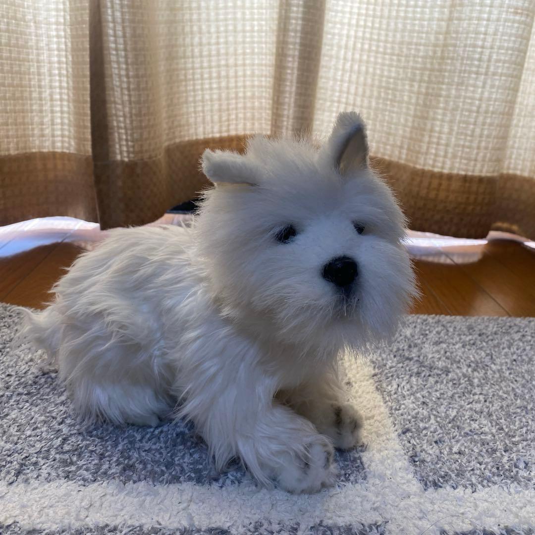 ハンサ ホワイトテリア ぬいぐるみ ウェスティ 2点セット westie