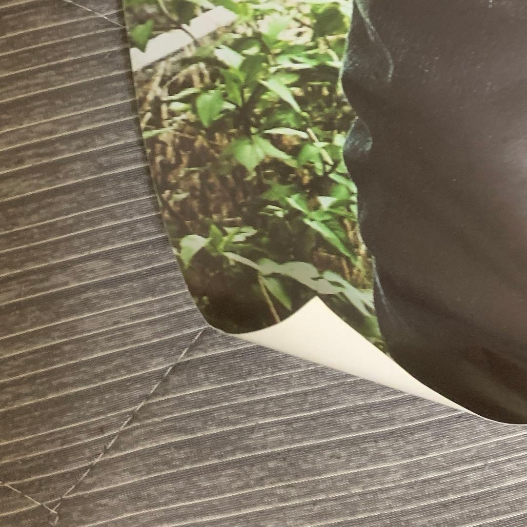 清水翔太 ポスター アイシテル My Treasure 直筆サイン入り2枚セット