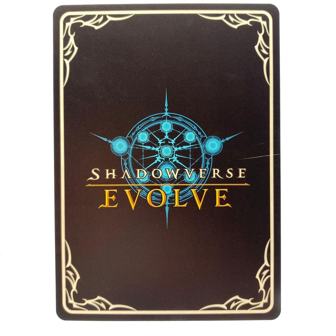 シャドウバースエボルヴ ゴールドシップ SP サイン 1枚