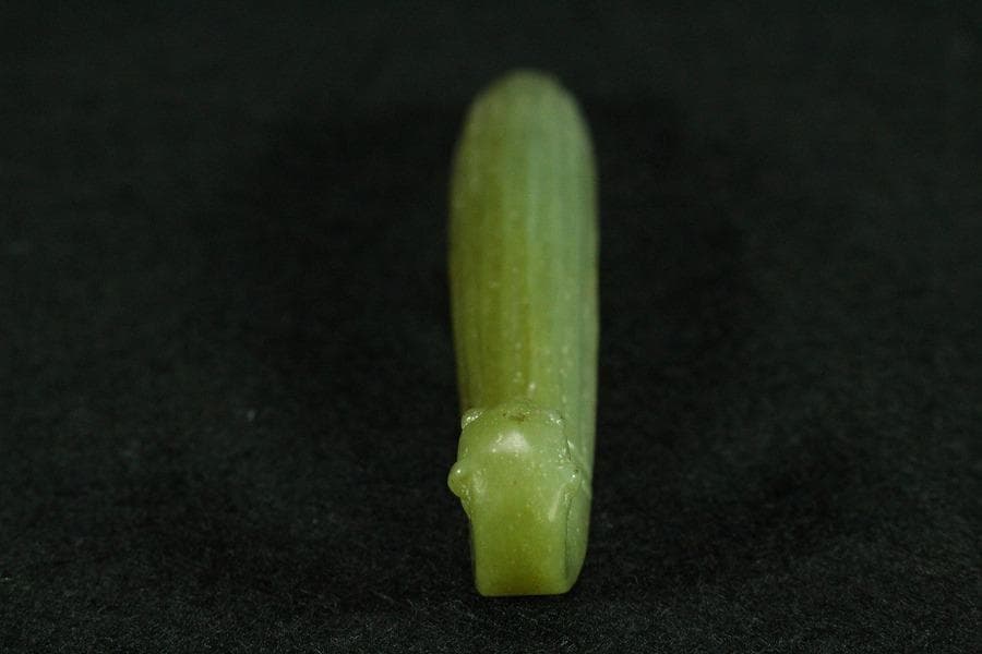 中国美術 砡石 帯駒 コレクター蔵品(K-YC540)