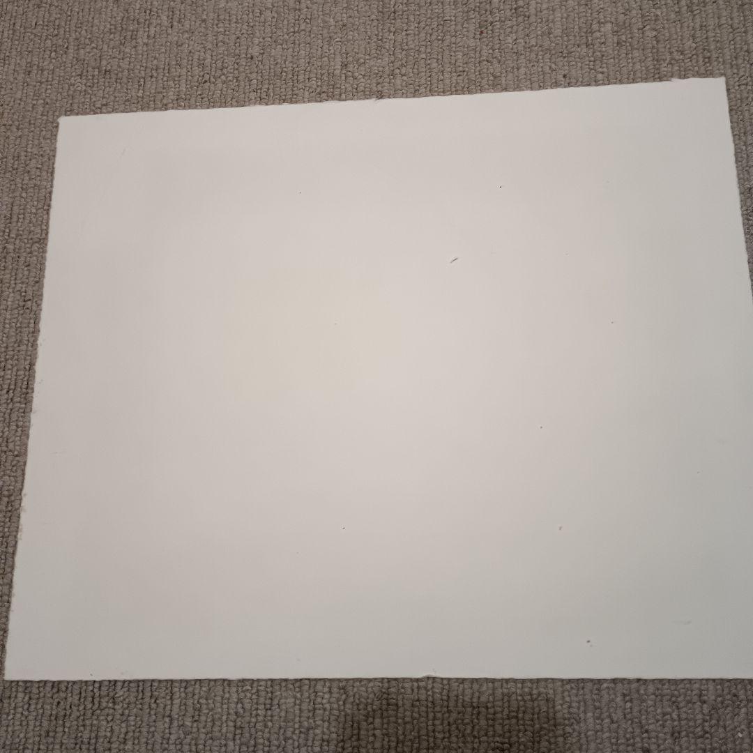 パブロ・ピカソ 347シリーズ 版画　 4.8.69Ⅲ 額サイズ41ｘ36cm