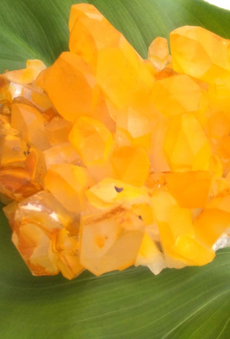 超希少 ゴールデンヒーラー クラスター ギャランティカード付きの通販