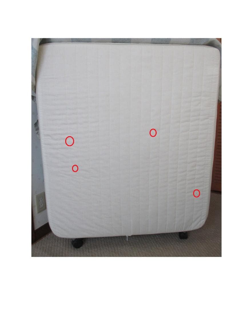 ニトリ製／シングル折り畳みベッド（2.04 x 0.9m、手渡し推奨）