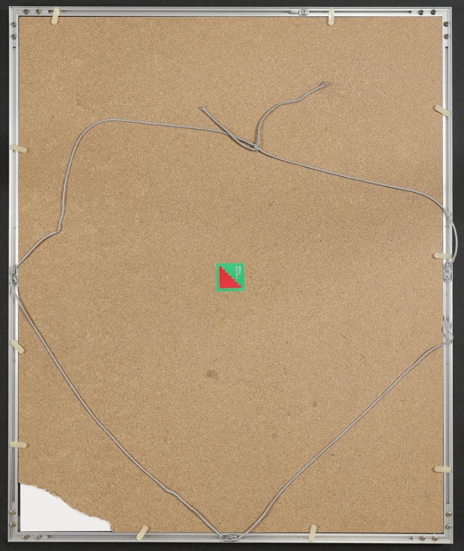 姫乃樹リカ　写真　全紙　約457ｘ560mm　2枚　全紙用額縁1個付