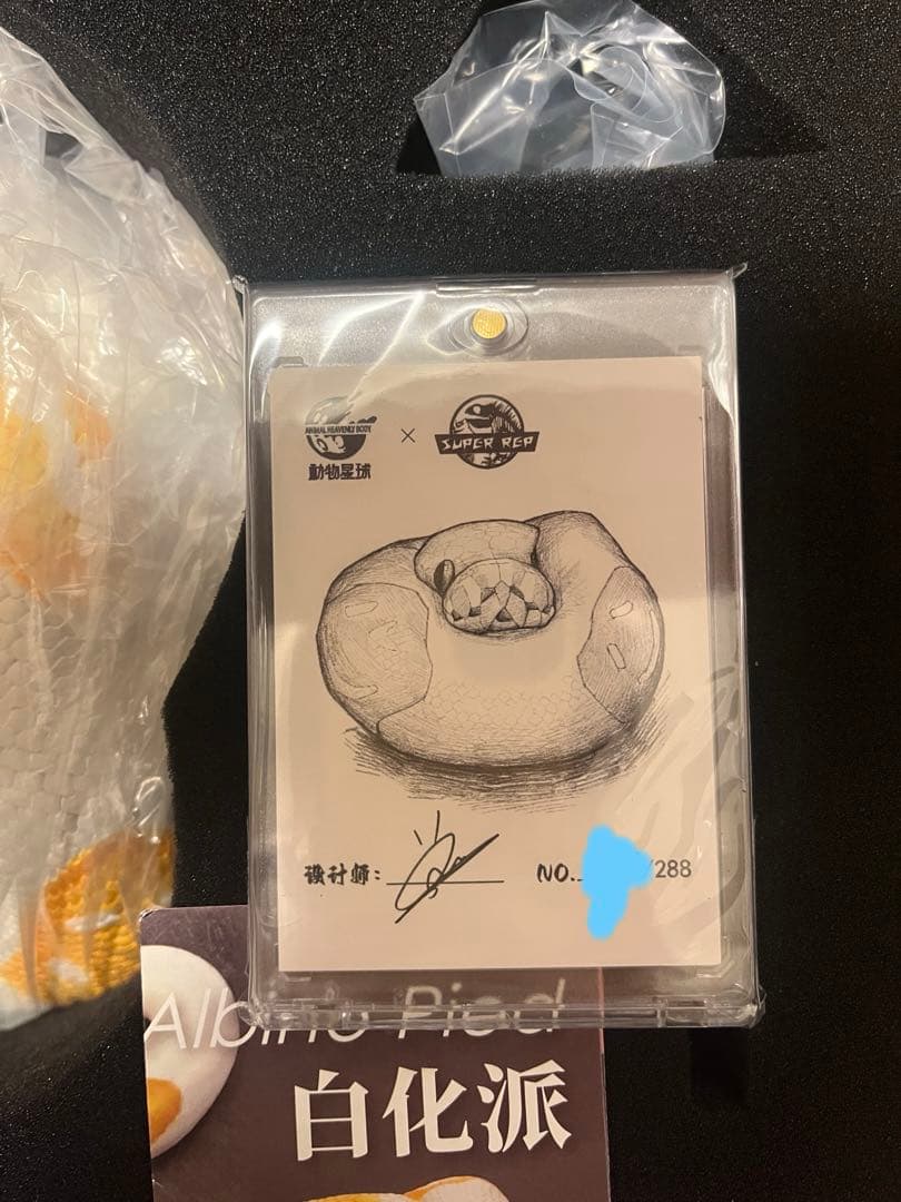 Bigサイズ！】動物の惑星 plus 中国288体 ボールパイソン パンプキン