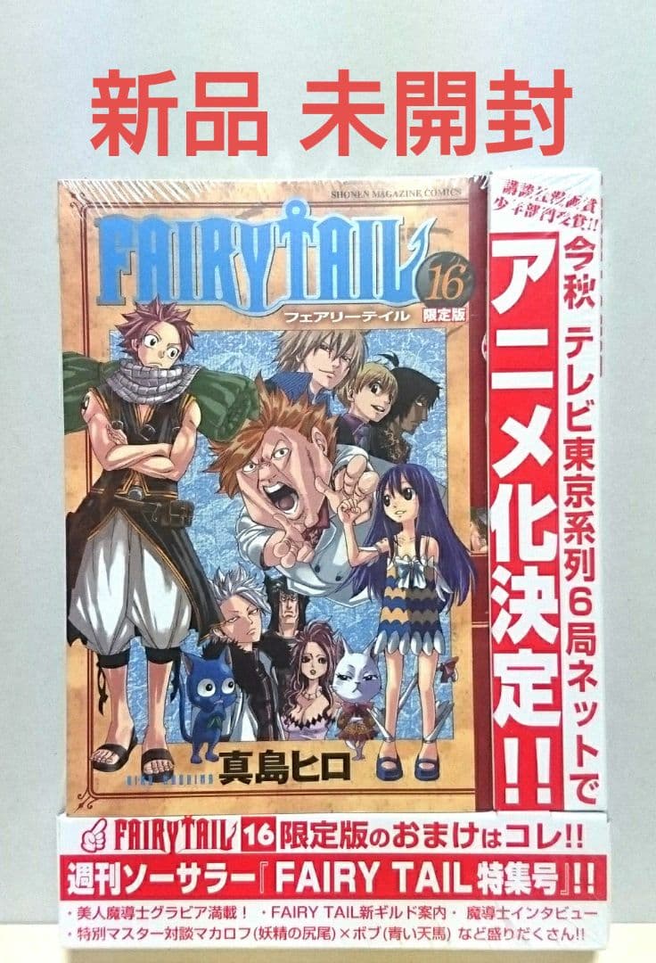 FAIRY TAIL 16 限定版 特装版 フェアリーテイル - メルカリ