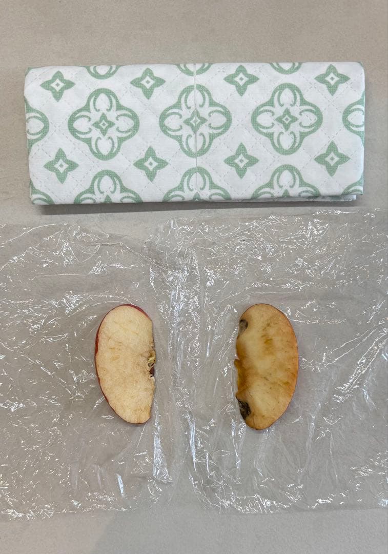 【新品・未開封】テラミーピローシート　グラントイーワンズ　枕カバー