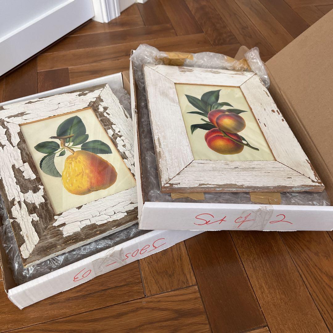 ボタニカルアートフレーム/ヴィンテージ植物画フレーム2枚組【定価22,000円】