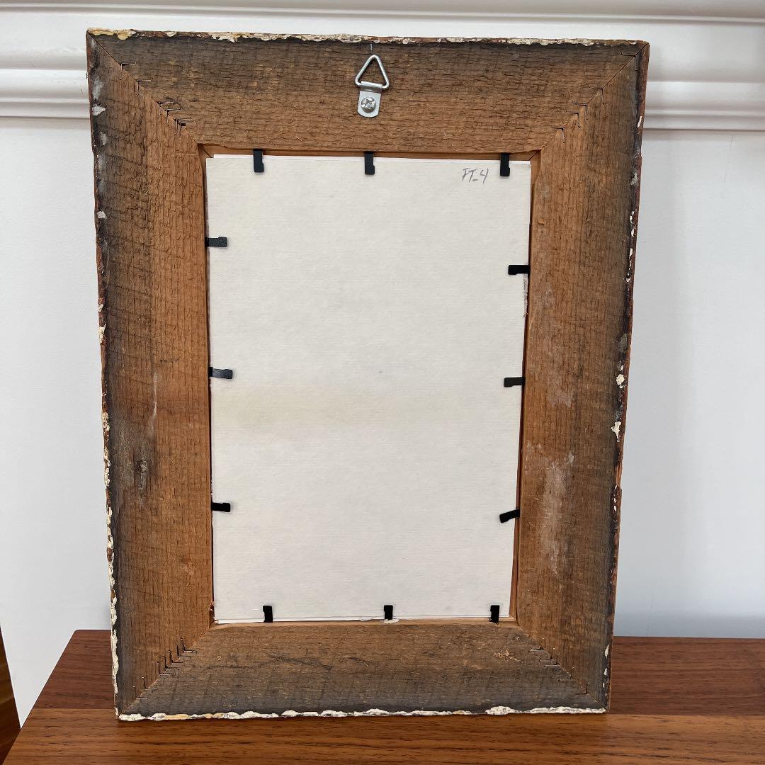 ボタニカルアートフレーム/ヴィンテージ植物画フレーム2枚組【定価22,000円】