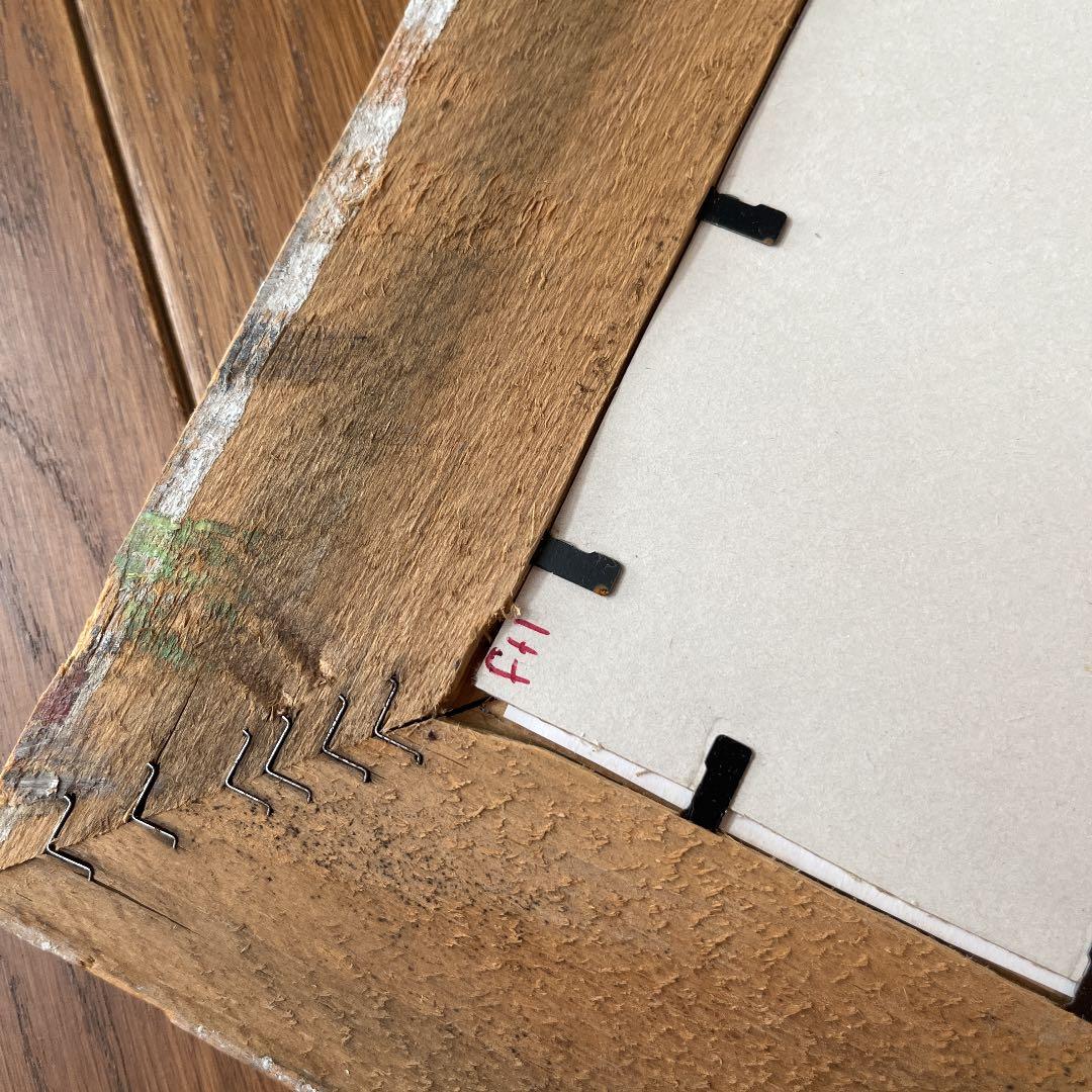 ボタニカルアートフレーム/ヴィンテージ植物画フレーム2枚組【定価22,000円】