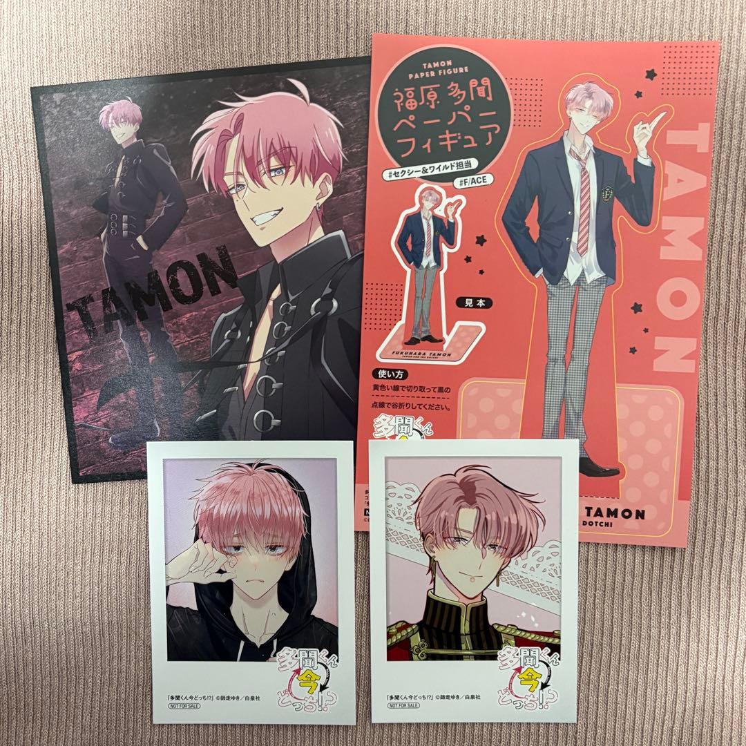 多聞くん今どっち！？ アニメイト 特典 ミニフォトカード 福原多聞