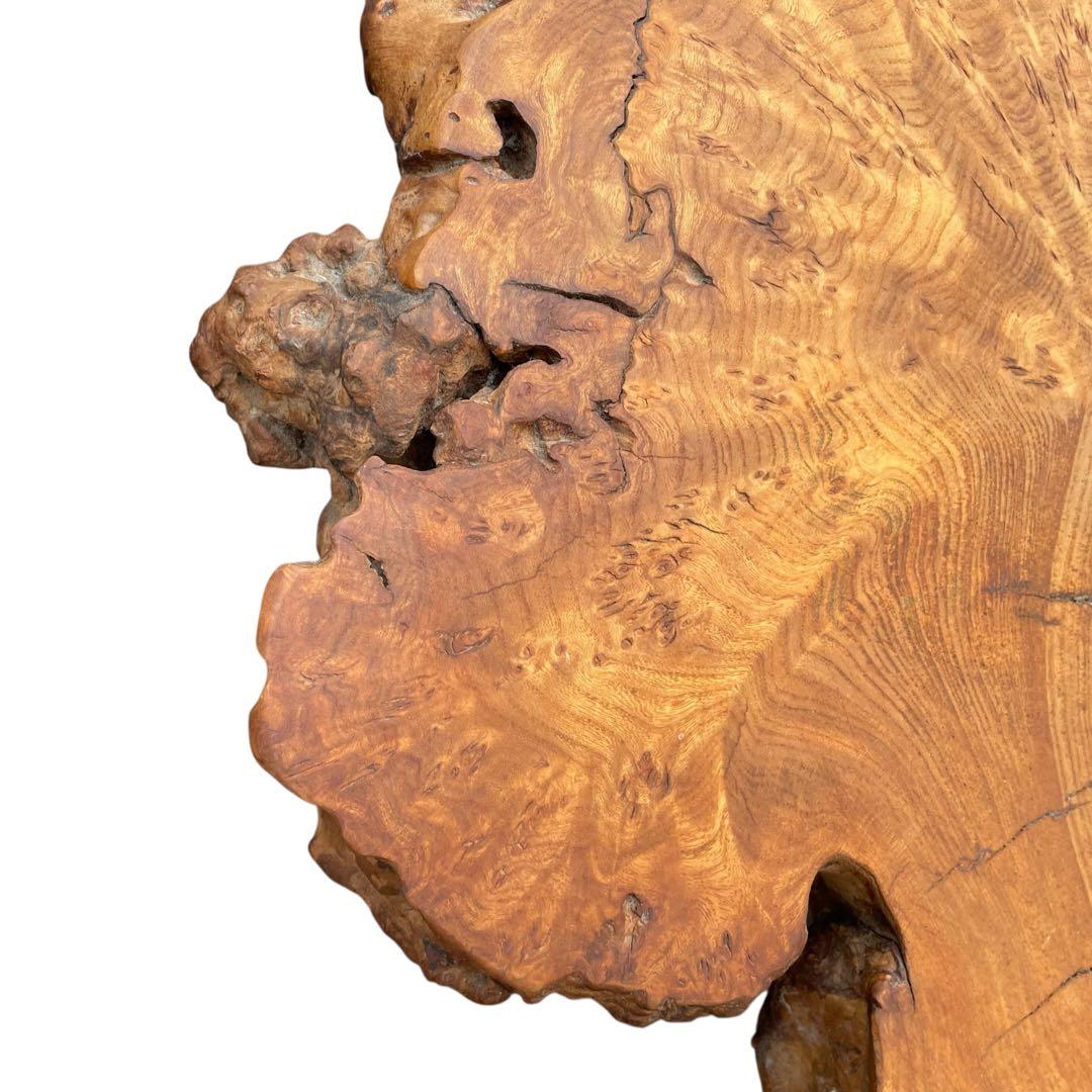 座卓　バール杢 ポプラ 一枚板 無垢材 瘤杢 チギリ ダイニングテーブル 希少