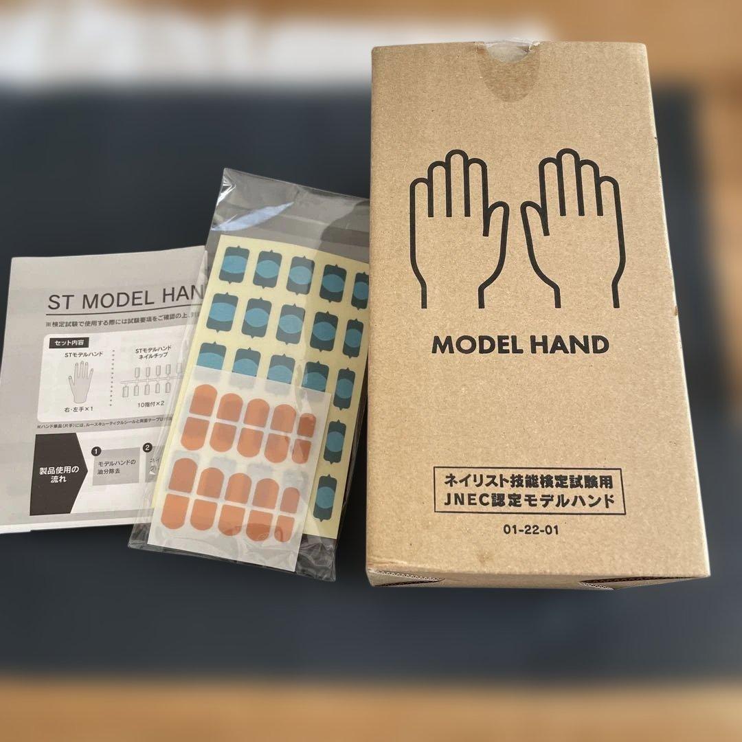 認定モデルハンド 両手　骨折無し