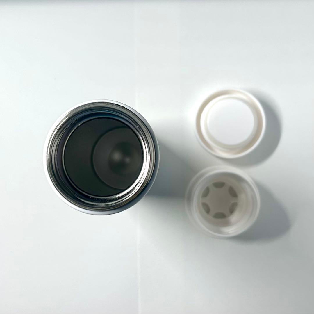 アンリ・マティス 「アンフォラを持つ女」スリムサーモンステンレスボトル300ml