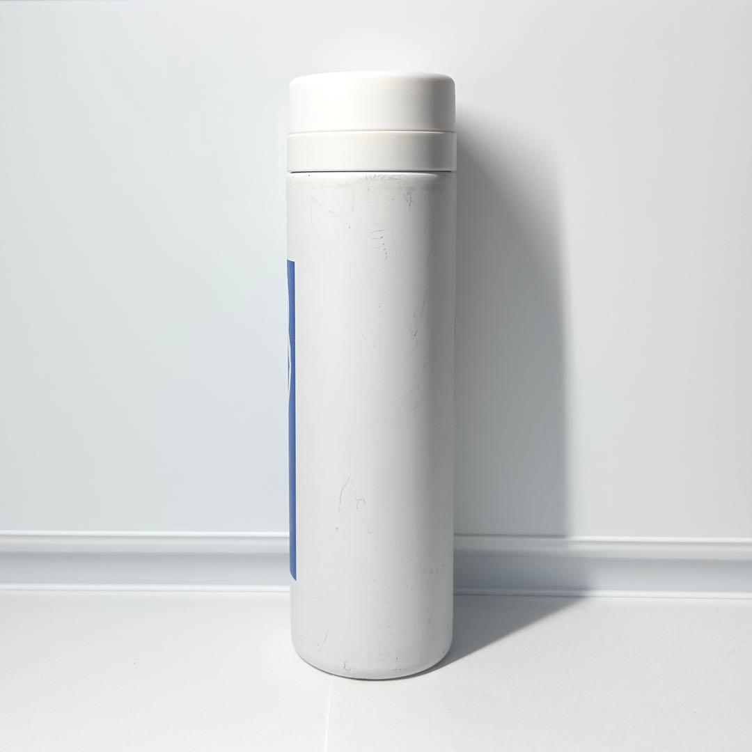 アンリ・マティス 「アンフォラを持つ女」スリムサーモンステンレスボトル300ml