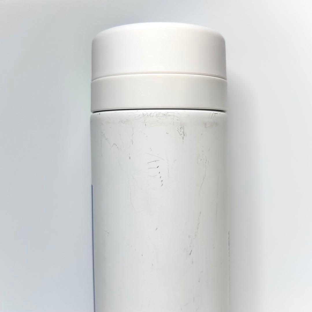 アンリ・マティス 「アンフォラを持つ女」スリムサーモンステンレスボトル300ml