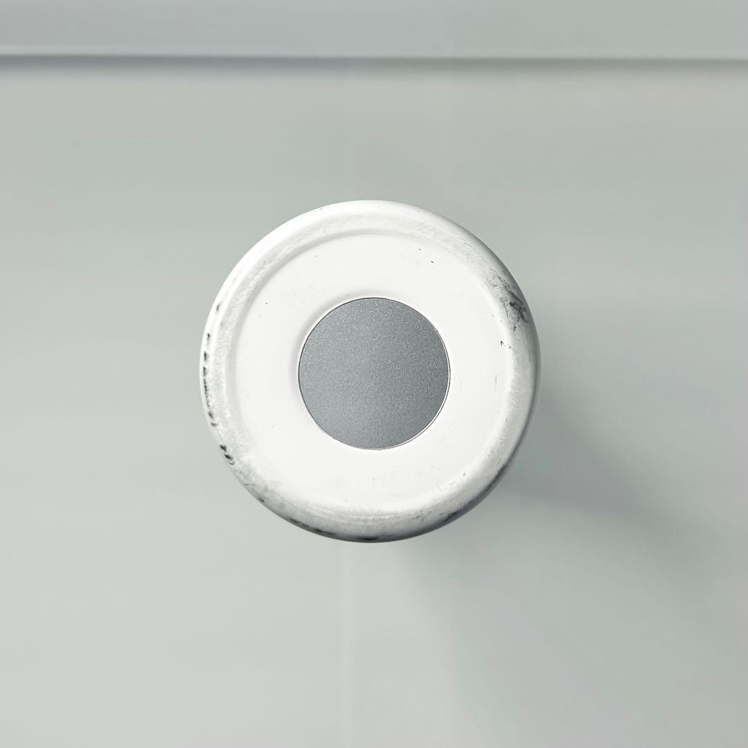 アンリ・マティス 「アンフォラを持つ女」スリムサーモンステンレスボトル300ml